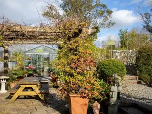 Deelish Garden Centre