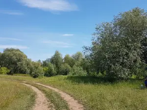 Sobachiy Yashchik