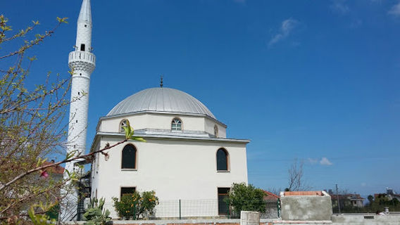Cami