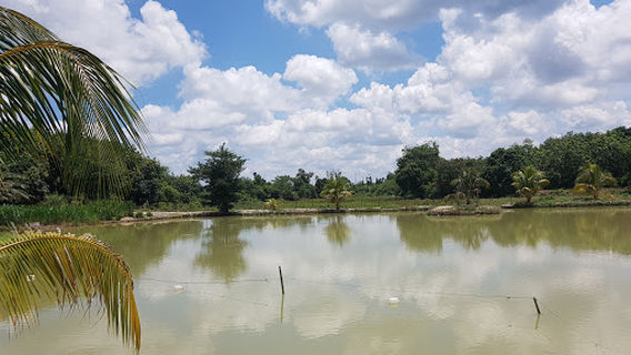 Taman Rekreasi Wadi Al- Amin (Kolam Tahfiz Berhala Gantang)