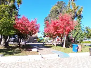 Praça Dr. Ozy Teixeira