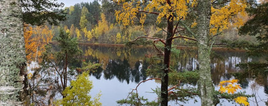 Riddarlekparken