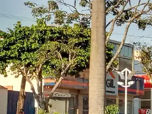 Praça Tuiuti
