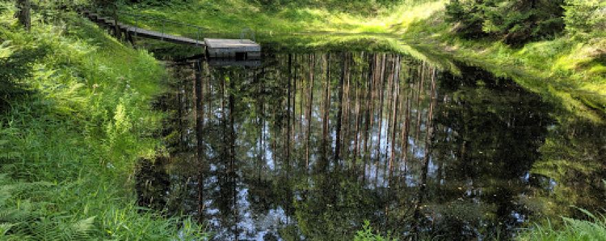 Kilingi-Nõmme metsarada