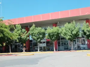 Plaza Carlos Gardel