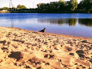 lake Sakulin