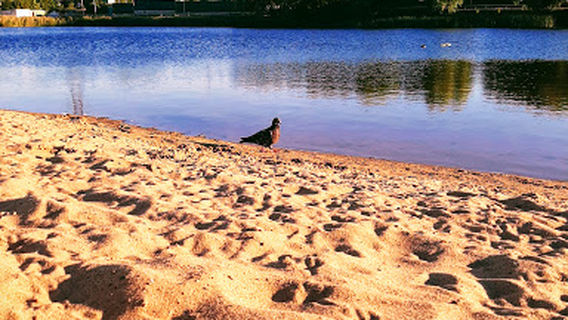 lake Sakulin