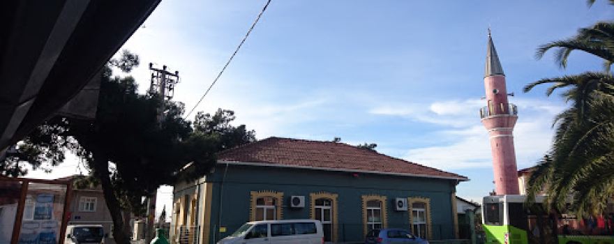 Cami