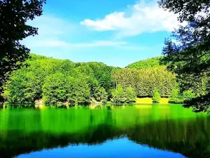 Big Lake