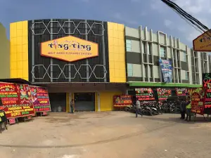 Ayu Ting Ting Family Karaoke Central Lampung