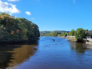 Afon Teifi