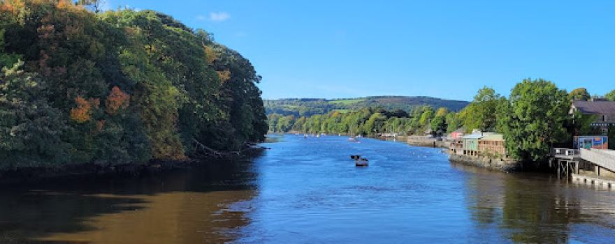 Afon Teifi