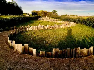 Romagna Vegetal Maze