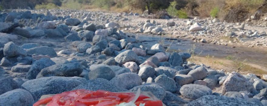Camping "El Caolín"