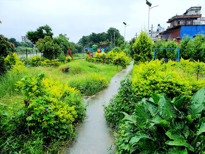 UN Park