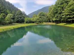 Vesela Straža