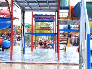 Lake Land Mas