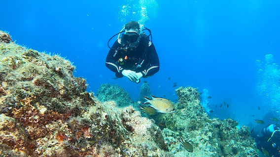 Titan Blue Divers
