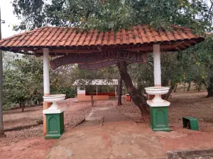 Municipal Bosque - salmourão