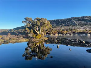 Pine Lake Walk