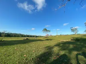 Bukit Kebo Km 8