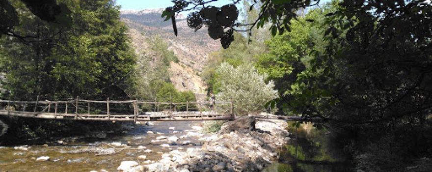 Büyük Creek