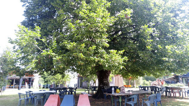 Le Grand Jeu ou Le Nom d'un oiseau - Saison 2023