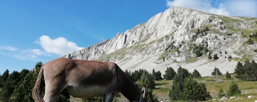 Rando d'Ane du Vercors
