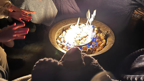 Chameleon Stargazing Booking office