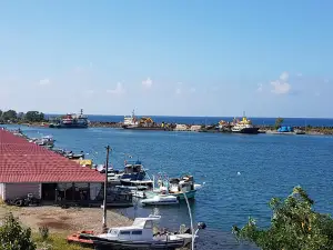 Görele Liman Kamelyası