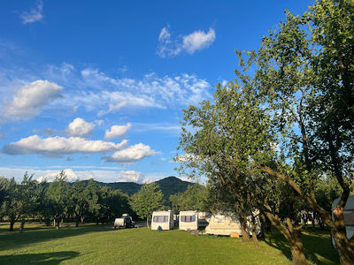 La Ferma Homorâciu