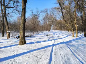 Victory Park