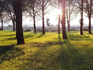 Kumkuyucak Belediyesi Mesire Alanı
