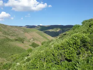 Ilıcalar