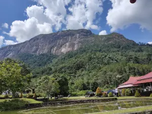 Bukit Kelam