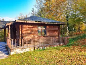 Kaynaşlı GİRGİN Meadow Recreation and Picnic Area