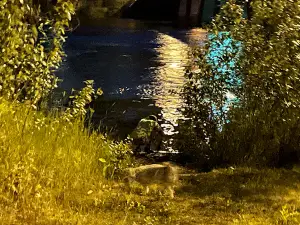 Chase Lion's Club RV Park