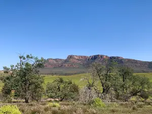 Rawnsley Lookout