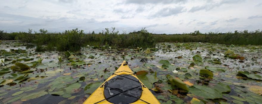 Hook Lake Bog State Natural Area