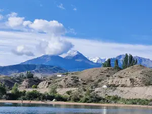 Tamga