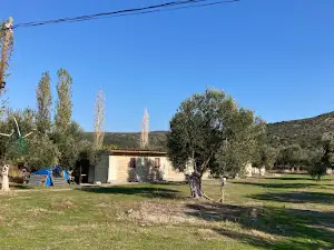 Cagdas camping