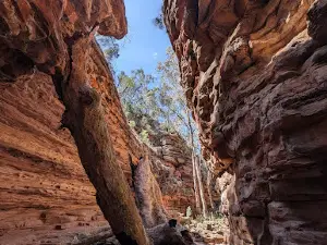 Alligator Gorge