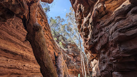 Alligator Gorge