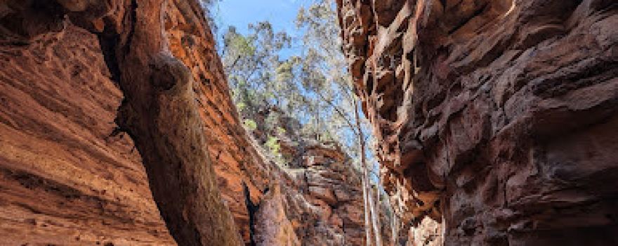 Alligator Gorge