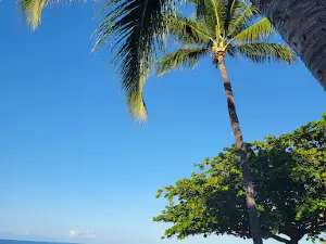 Ho‘okena Beach Park