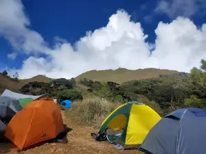 Mount Pulag