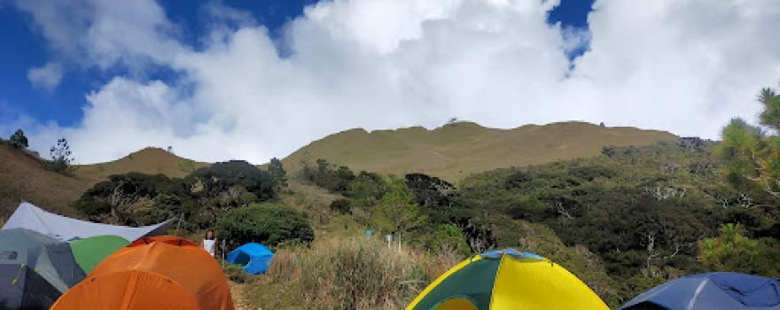 Mount Pulag