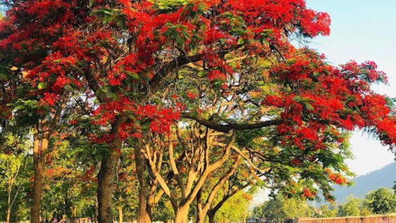 वीरेन्द्र चोक Birendra Chowk