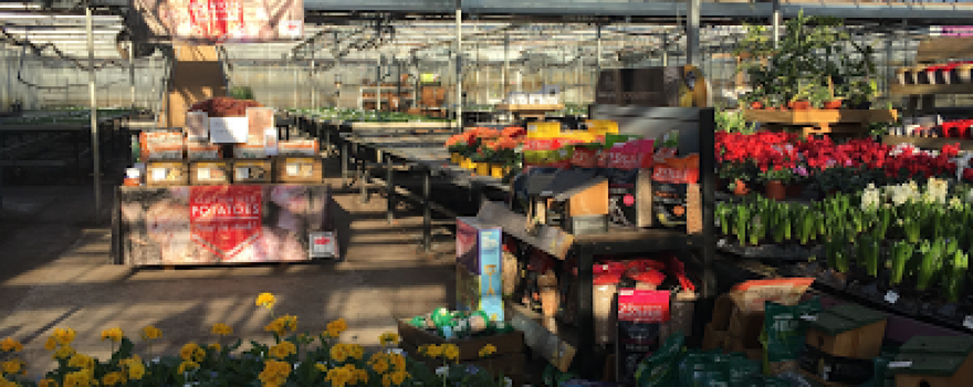 Ravensworth Nurseries Ltd