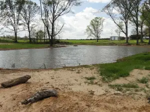 Conecuh Village